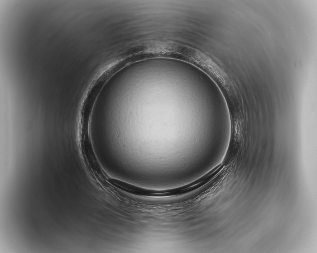 X0000093610724200710151239