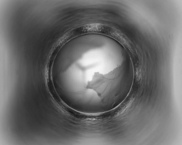 X0000093610725200710151239