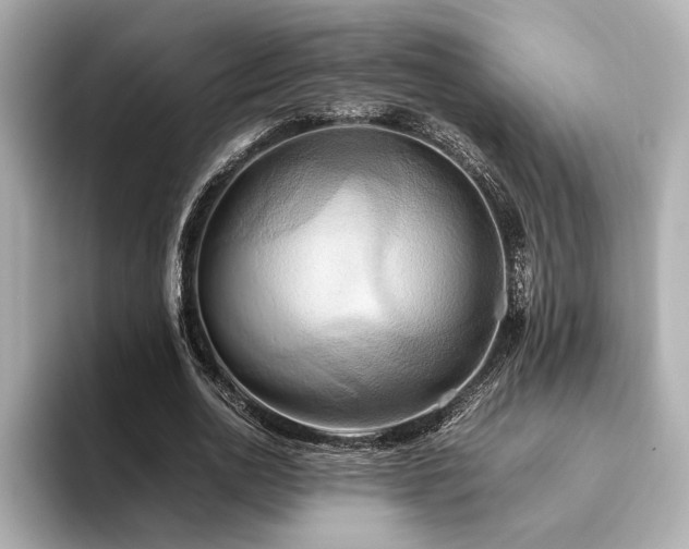 X0000093610726200710151239