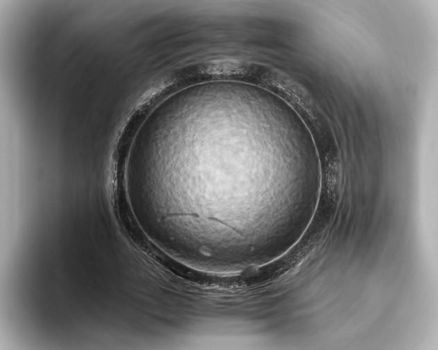 X0000093610727200710151239