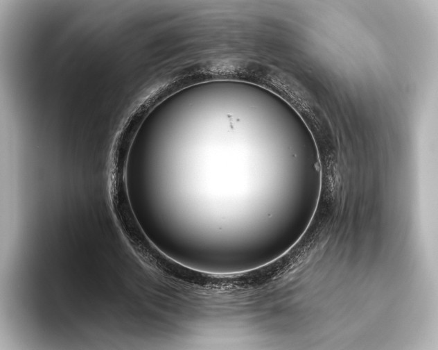 X0000093610728200710151239