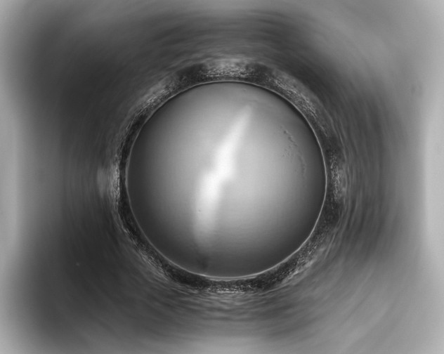 X0000093610729200710151239