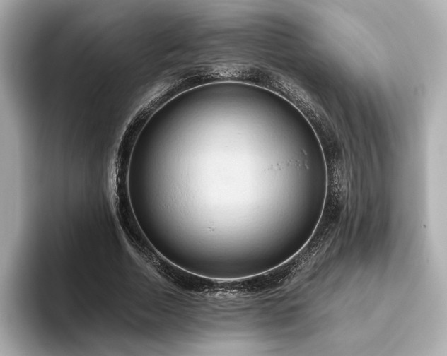X0000093610730200710151239