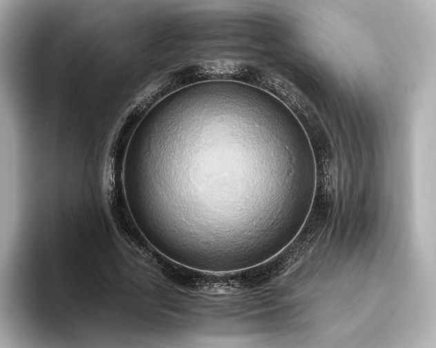 X0000093610731200710151239