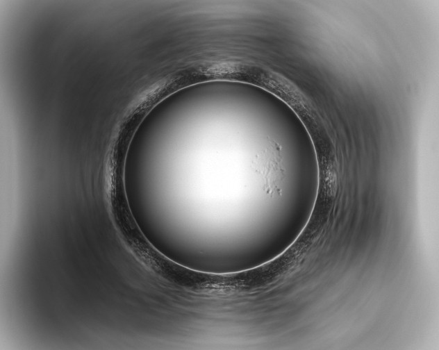 X0000093610732200710151239