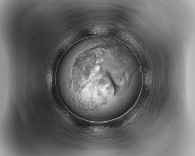 X0000093610733200710151239
