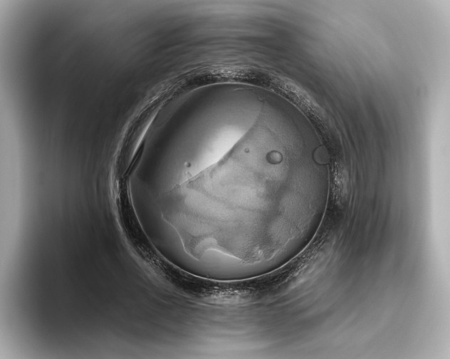 X0000093610734200710151239