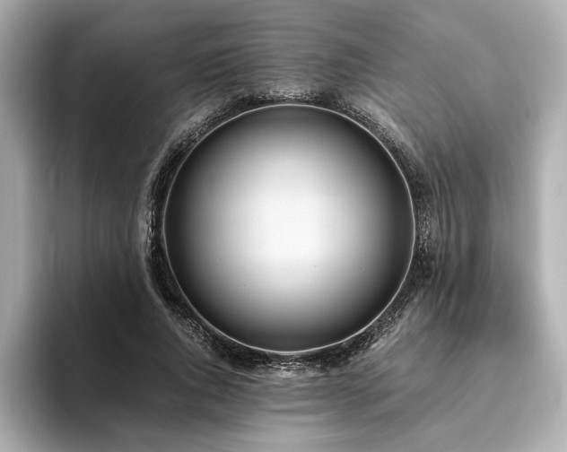 X0000093610736200710151239