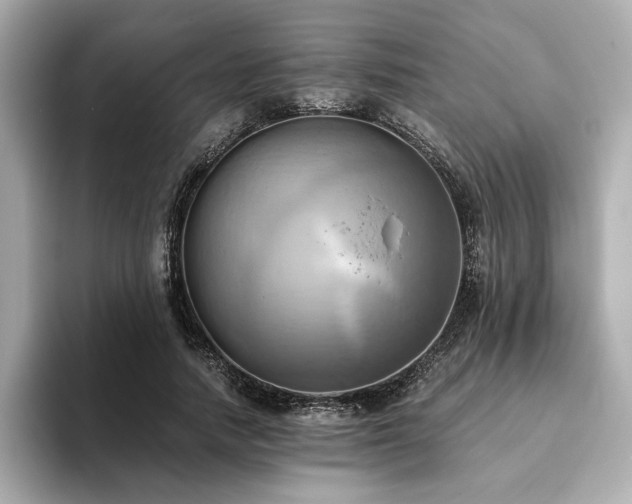 X0000093610738200710151239