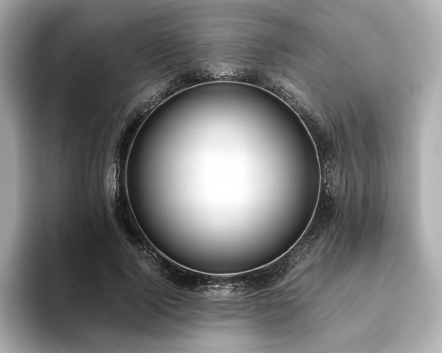X0000093610740200710151239