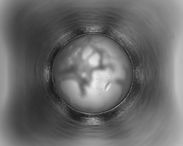 X0000093610741200710151239
