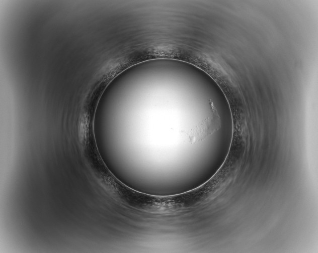 X0000093610744200710151239