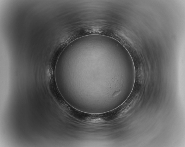 X0000093610747200710151239
