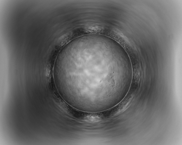 X0000093610749200710151239