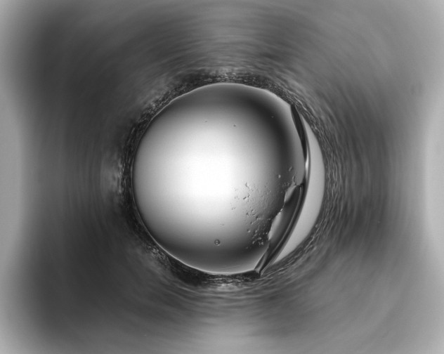 X0000093610750200710151239