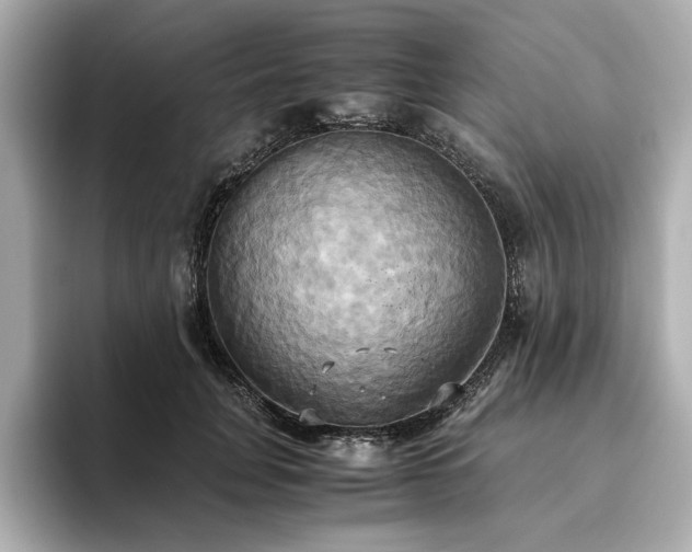 X0000093610751200710151239