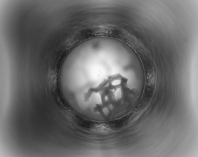 X0000093610753200710151239