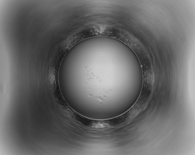 X0000093610754200710151239