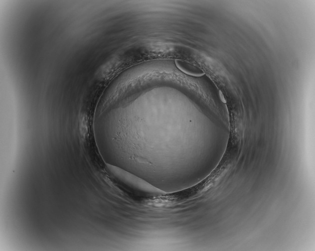 X0000093610758200710151239