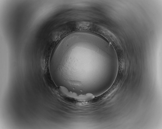 X0000093610759200710151239