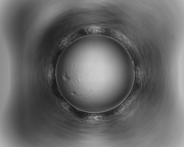 X0000093610760200710151239
