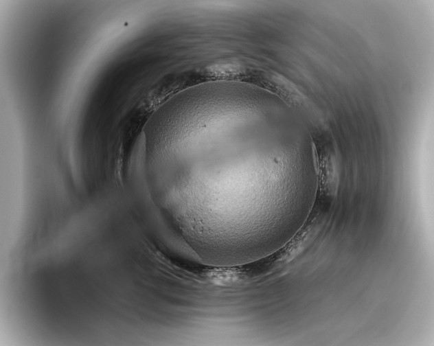 X0000093610762200710151239