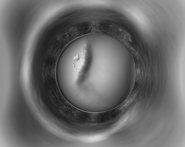 X0000093610765200710151239