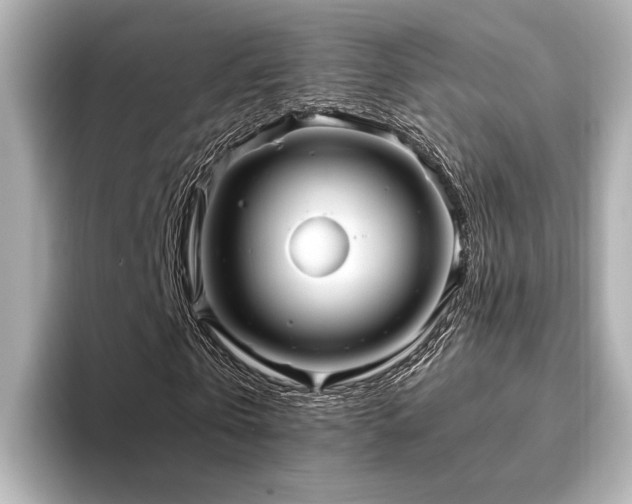 X0000093610769200710151238
