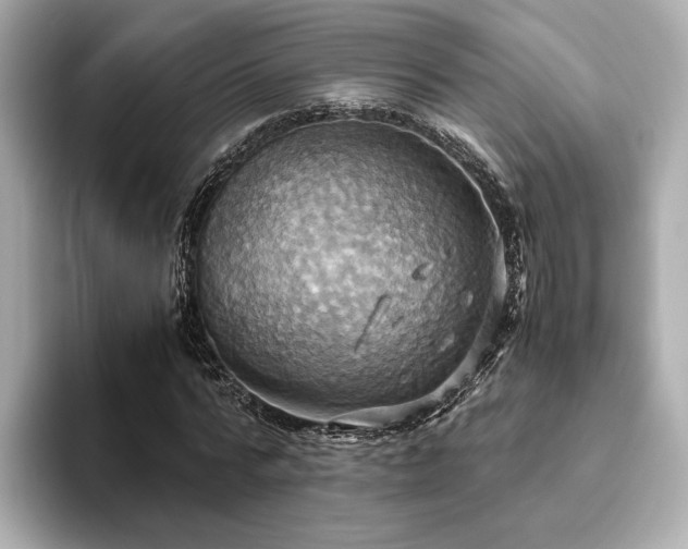 X0000093610776200710151238