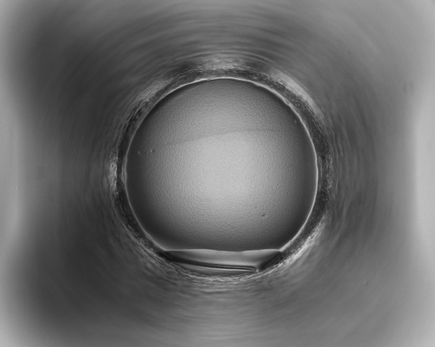 X0000093610777200710151238