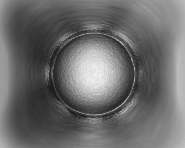 X0000093610778200710151238