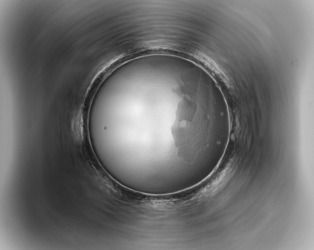 X0000093610782200710151238
