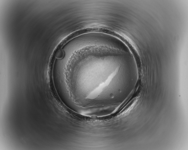 X0000093610783200710151238