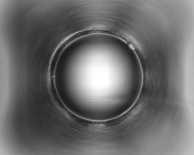 X0000093610784200710151238