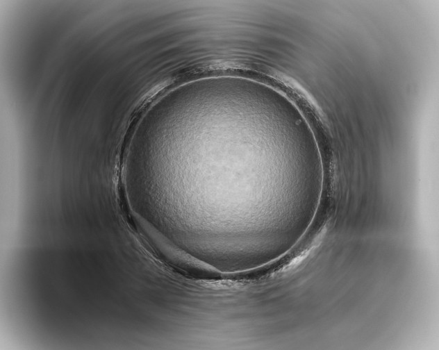 X0000093610785200710151238