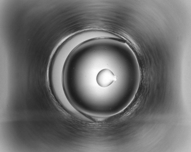 X0000093610788200710151238