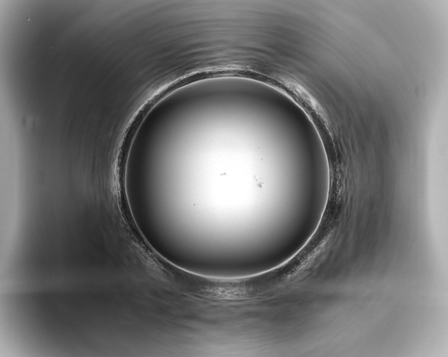 X0000093610789200710151238