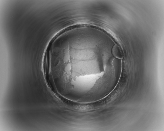 X0000093610791200710151238