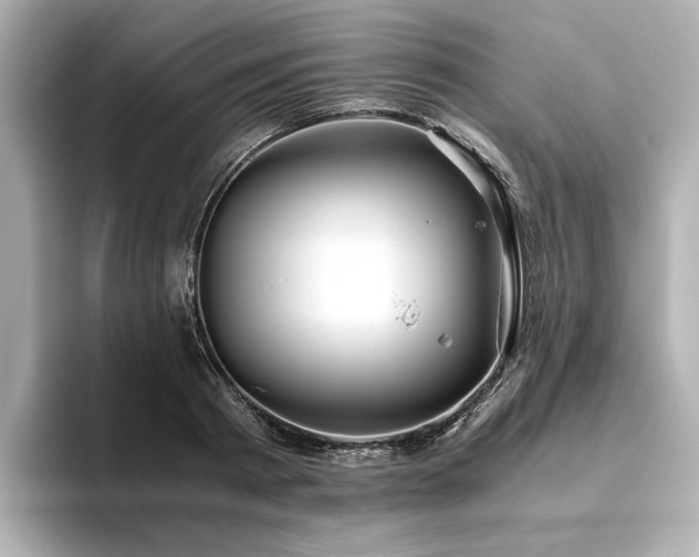 X0000093610793200710151238