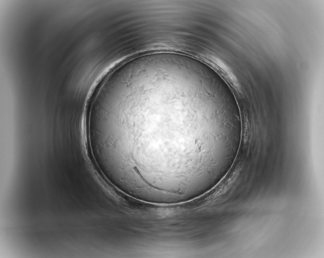 X0000093610796200710151238