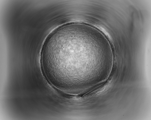 X0000093610799200710151238