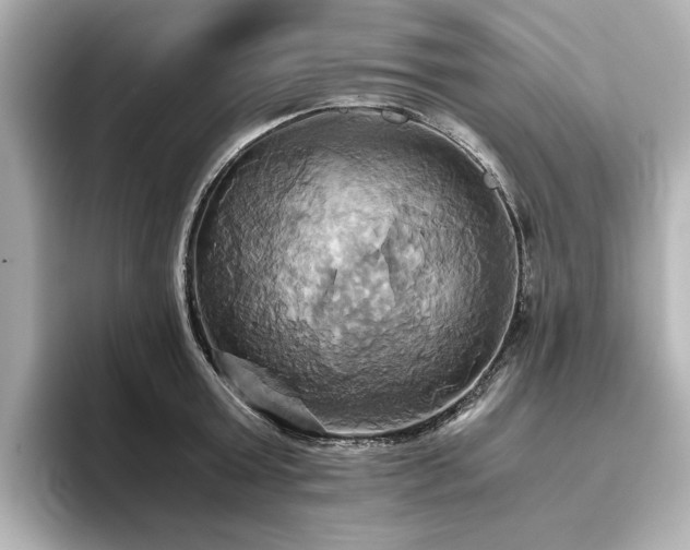 X0000093610803200710151238