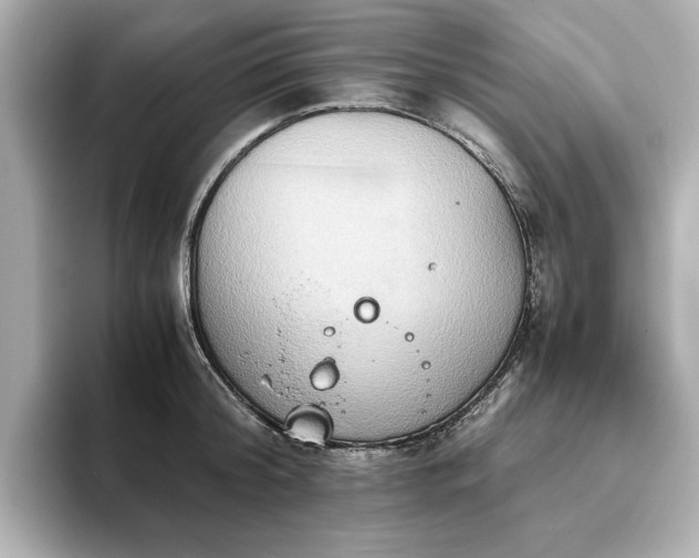 X0000093610804200710151238