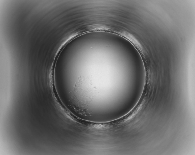 X0000093610806200710151238