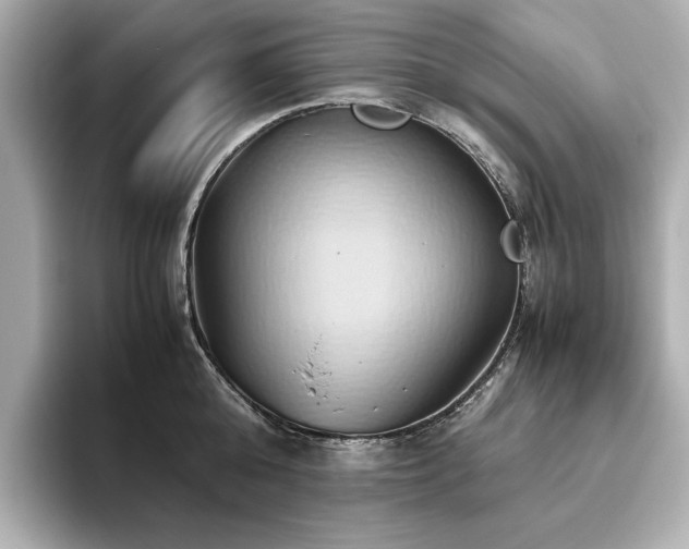 X0000093610808200710151238