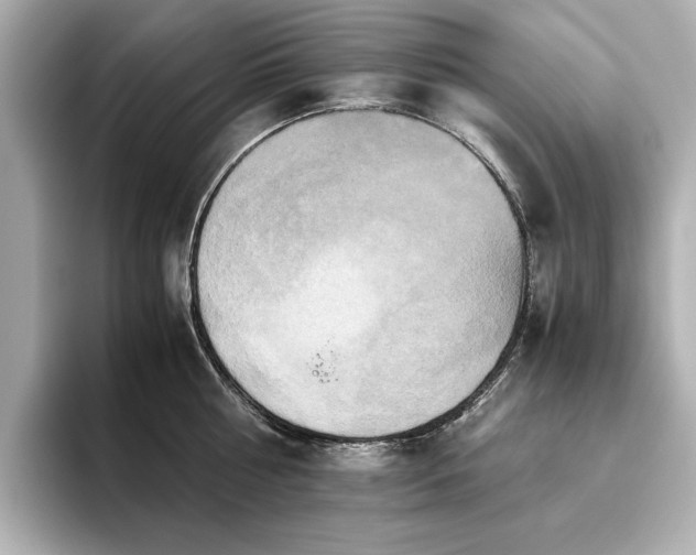 X0000093610810200710151238