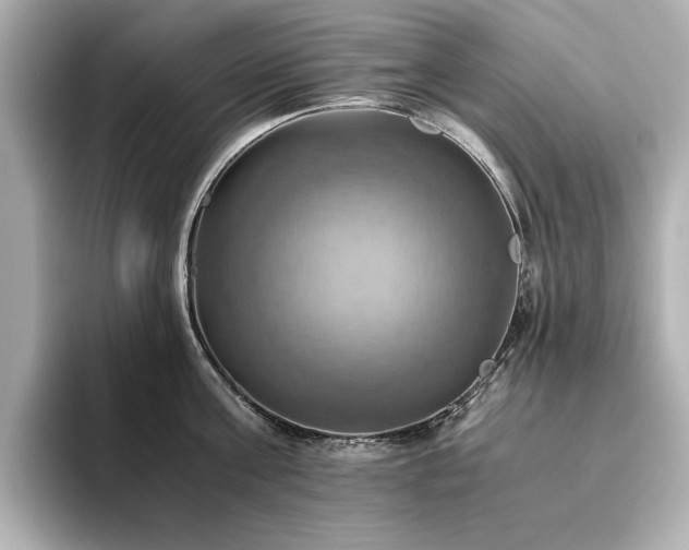 X0000093610811200710151238