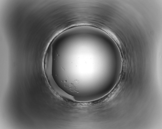 X0000093610813200710151238