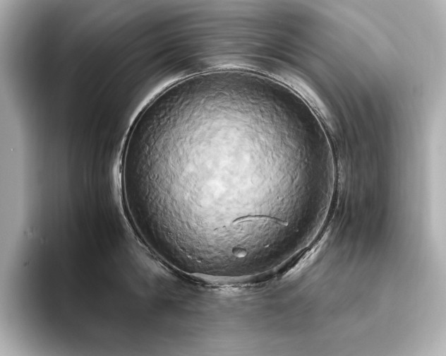 X0000093610814200710151238