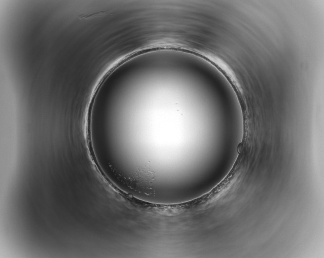 X0000093610815200710151238